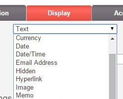 A list of possible display types for Data fields