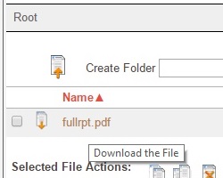 An embedded file pane.